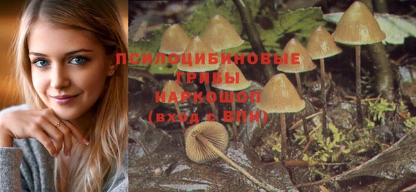 мескалин Протвино