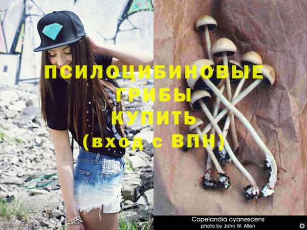 ПСИЛОЦИБИНОВЫЕ ГРИБЫ Пролетарск