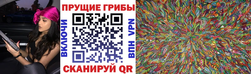 мега как зайти  где купить наркоту  нарко площадка как зайти  Галлюциногенные грибы мицелий  Нестеровская 
